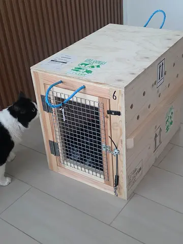 Pet: Dogs and Cat Carrier/Crate. For flights or home use