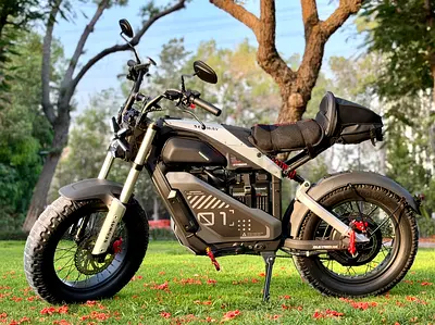 Segway Xyber bike dual battery