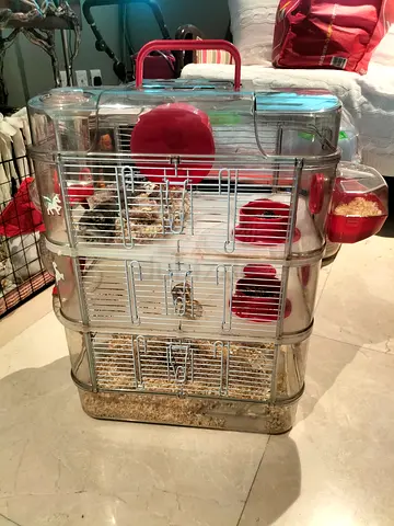 Hamster cage for sale