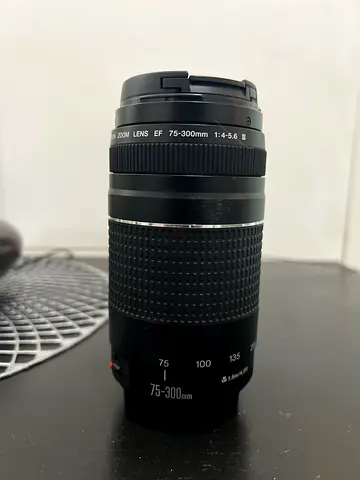 Canon Ef 75-300mm F/4-5.6 Telephoto Zoom Lens