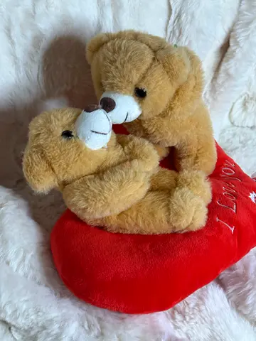 I Love You Teddy Bears with Heart Plush Toy