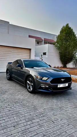 Ford Mustang V6/GCC Specs/No accidents/service history