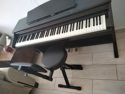 Casio Celviano AP-10 Digital Piano