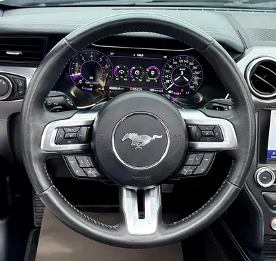 2019 FORD MUSTANG 缩略图 13