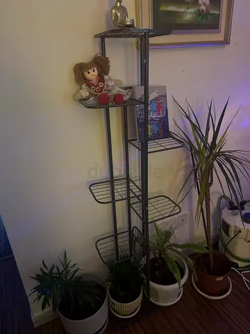 Tall metal corner shelving unit with 4 wire shelves — black for plants and decor. Fixed price