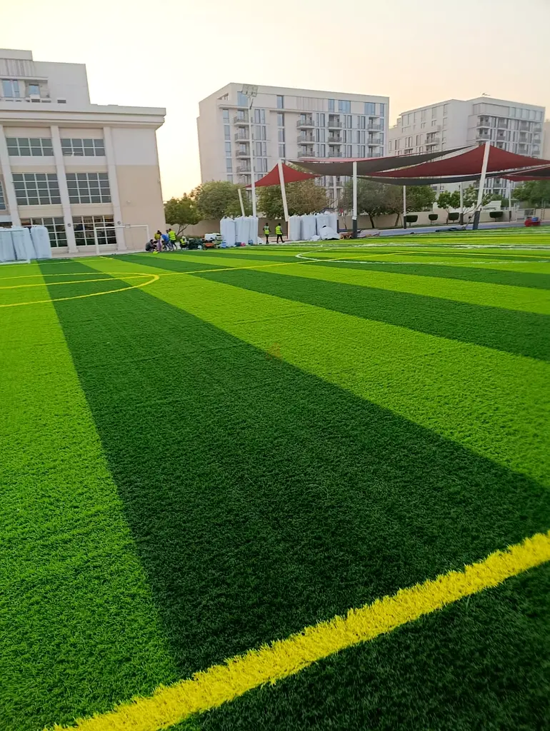 DPV_View_Image_0