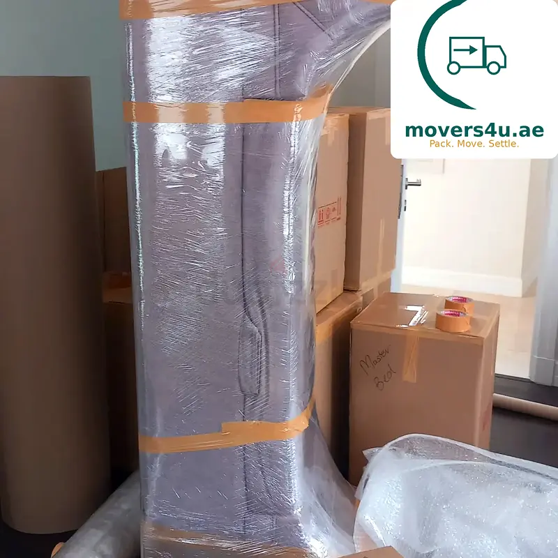 DPV_View_Image_1