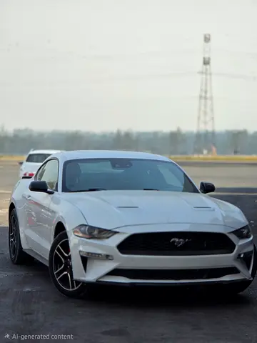 Mustang Ecoboost Vin # 1FA6P8TH9M5106516 - Low Mileage - Sport - Clean Tittle  0% D:P Emi Start 1200