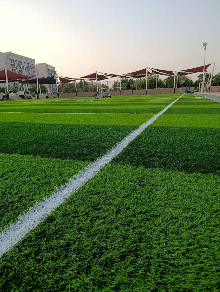 DPV_View_Image_1