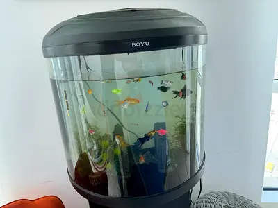 BOYU FISH AQUARIUM