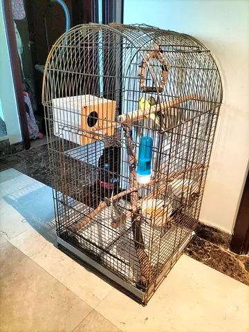 Parrot cage for sale