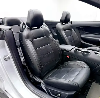 2019 FORD MUSTANG 缩略图 15