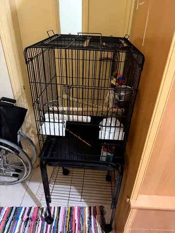 Bird Cage