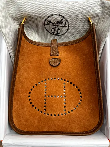 Hermès Mini Evelyne RARE BAG