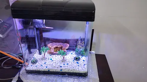 Small Aquarium Tank with Hood, Filter and Decor