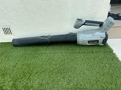 Leaf blower