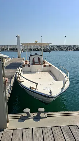 30ft boat with Two Mercury 150 HP 4 stroke Sea Pro engines + Trailer