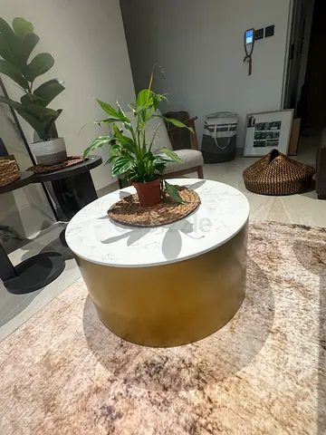 Modern Round Coffee Table: Marble Top & Gold Base