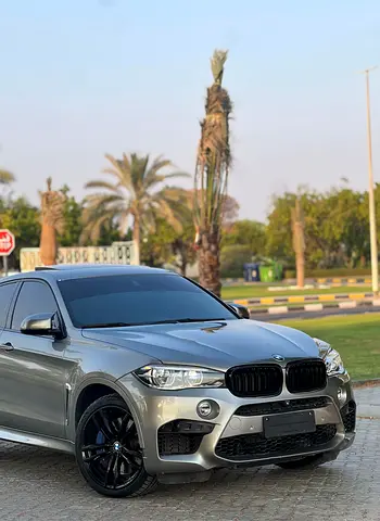 2019 BMW XM photo 20