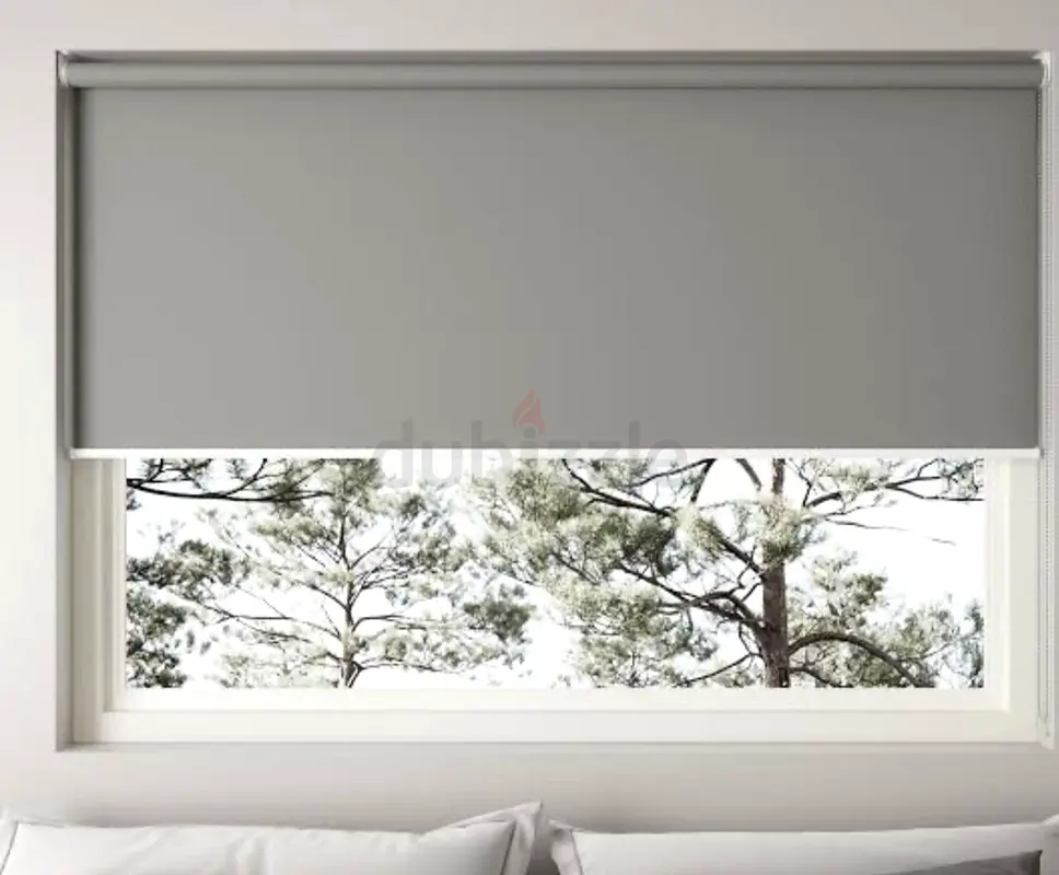 DPV_View_Image_1