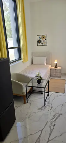 Big Luxury Partition for SINGLE LADY