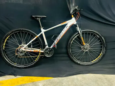 Mountain bike made in Germany