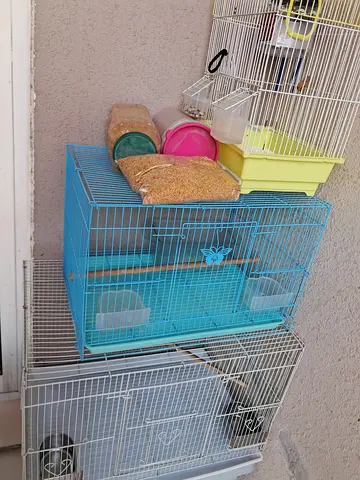 Bird cage