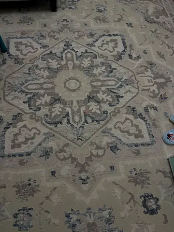 Traditional Style Patterned Area Rug
