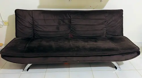 Sofa Cum Bed by Danube Home