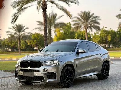 2019 BMW XM photo 2