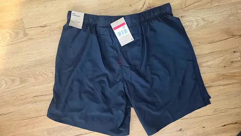 Nike . Challenger . Mens Sport  Workout Running shorts / New / Size L