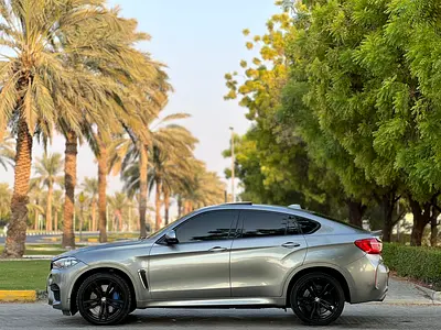 2019 BMW XM photo 18