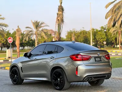 2019 BMW XM photo 6