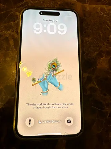iPhone in good working condition - 1 owner