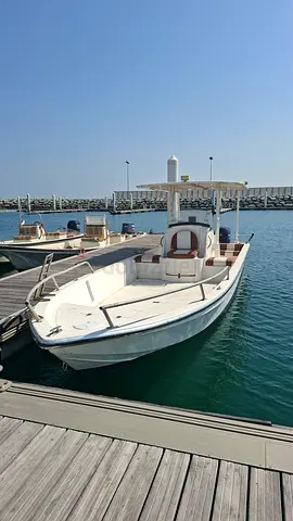 30ft boat with two 150 HP Mercury sea pro engines + Trailer