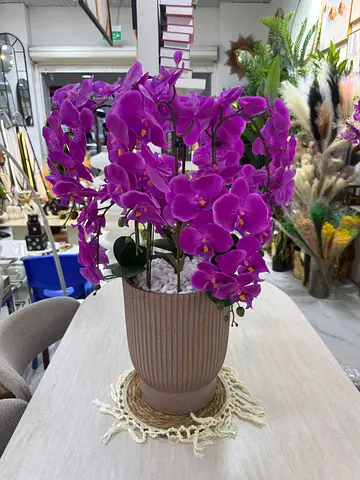 Large Purple Phalaenopsis Orchid Arrangement in Decorative Pot