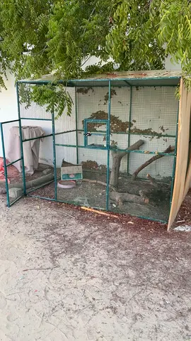 Large outdoor metal bird aviary cage