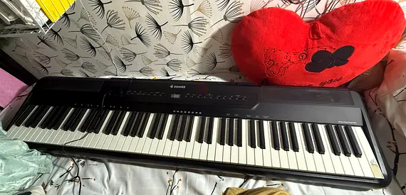 Donner 88-Key Digital Piano - Good Working Condition