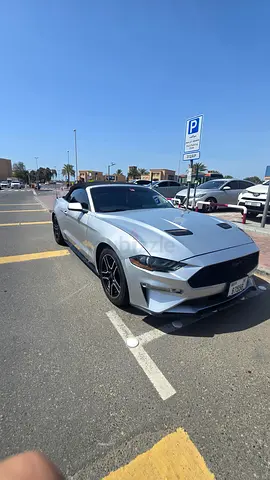 Ford Mustang Ecoboost 2019 - Excellent Condition