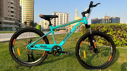 Golden mountain bike24"