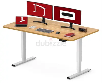 Gaming Desk FlexiSpot E5 Electric Standing