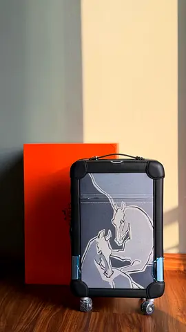 Hermes cabin luggage