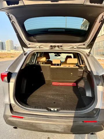 2019 Toyota RAV 4 照片 8