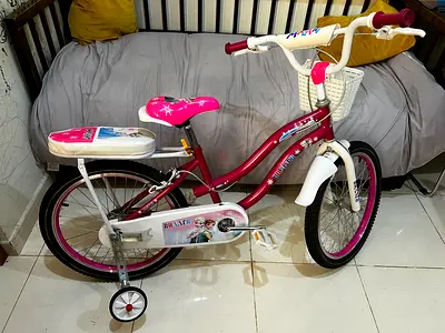 Kids 20-inch Frozen-themed Girls Bicycle with Basket