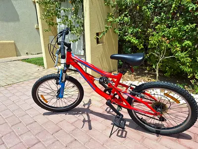 20" bike