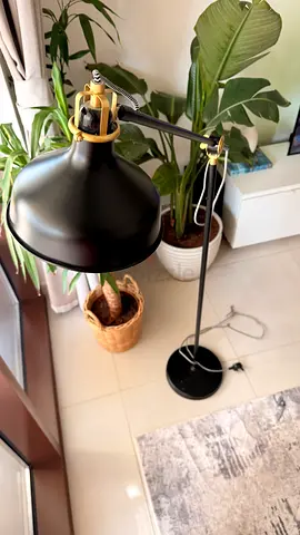 Black Metal Adjustable Floor Lamp with Brass Accents - Great Condition