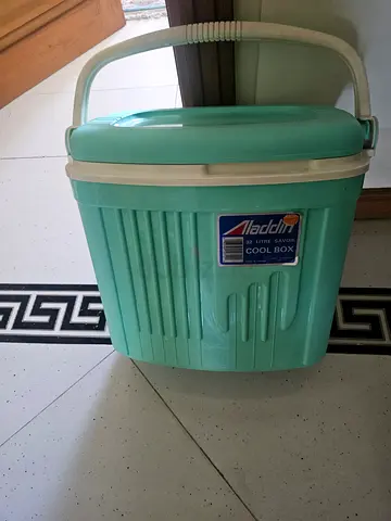 Portable Insulated Cool Box - Mint Green, 20L