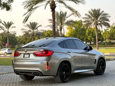 2019 BMW XM photo 4