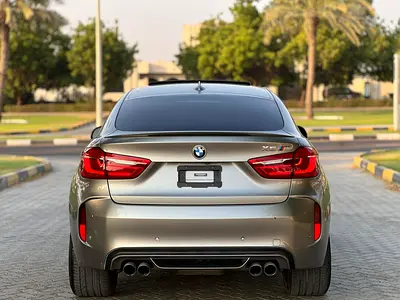 2019 BMW XM photo 5