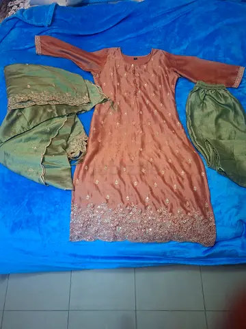Brown embroidered traditional salwar kameez with green dupatta and pants - good condition
